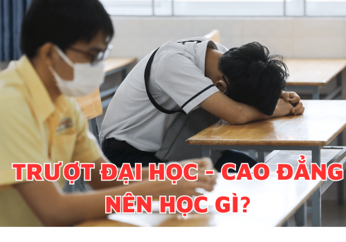 Trượt Đại Học hay Cao Đẳng thì nên học gì?